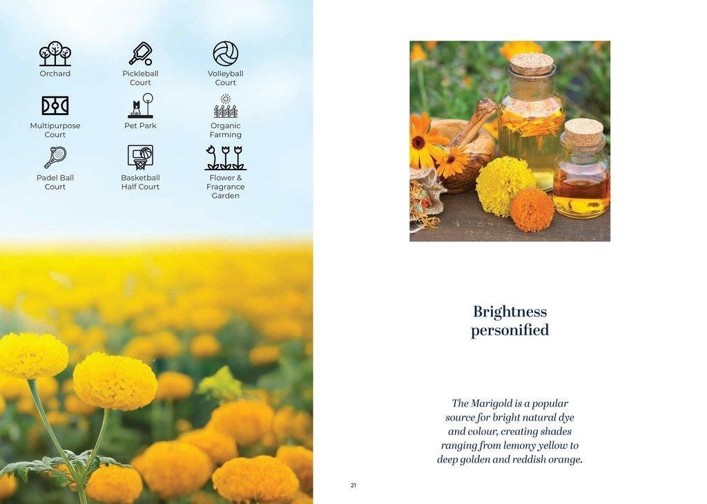 Prestige Marigold Phase2 21