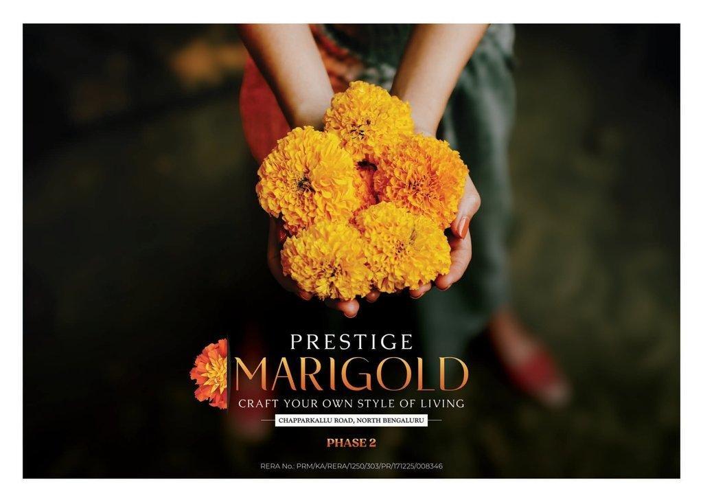 Prestige Marigold Phase2 01